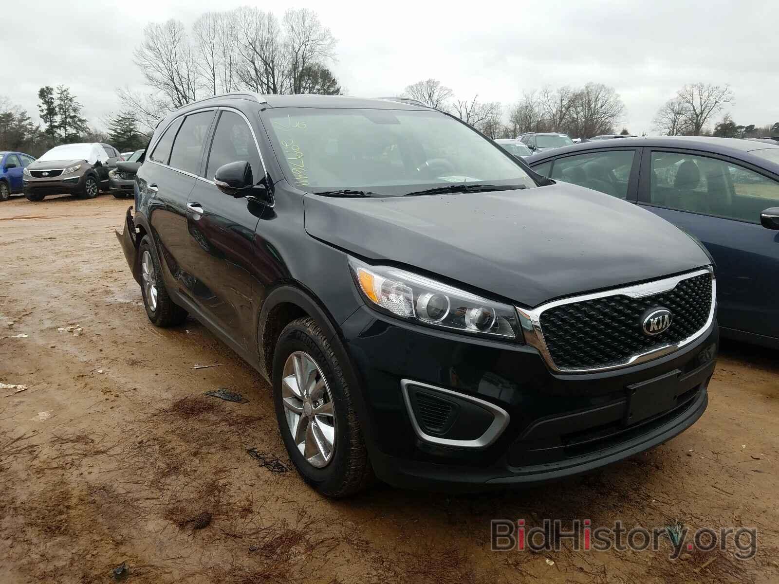 Photo 5XYPG4A52HG198310 - KIA SORENTO 2017