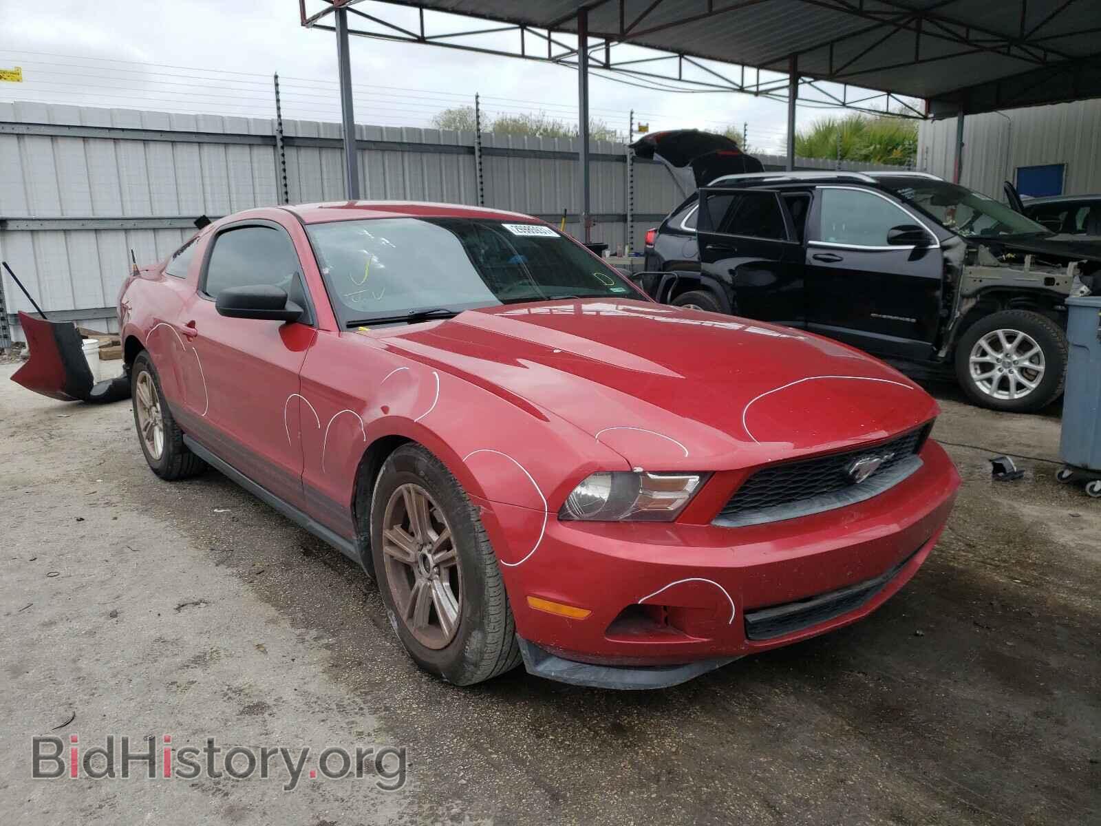 Photo 1ZVBP8AM5B5162357 - FORD MUSTANG 2011