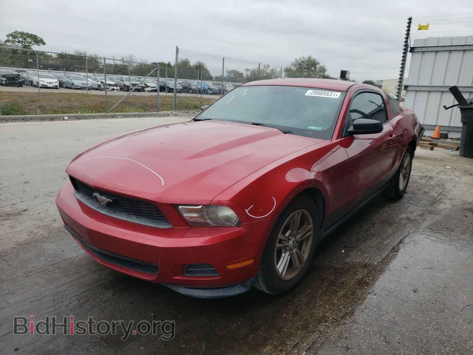 2011 FORD MUSTANG - VIN: 1ZVBP8AM5B5162357 - Фото 2