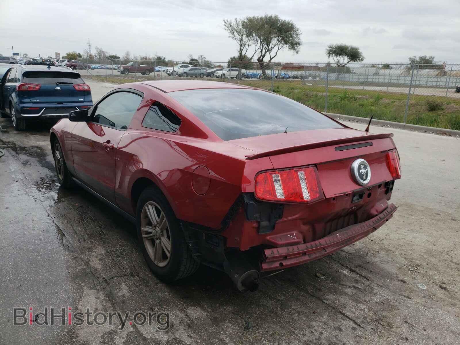 2011 FORD MUSTANG - VIN: 1ZVBP8AM5B5162357 - Фото 3