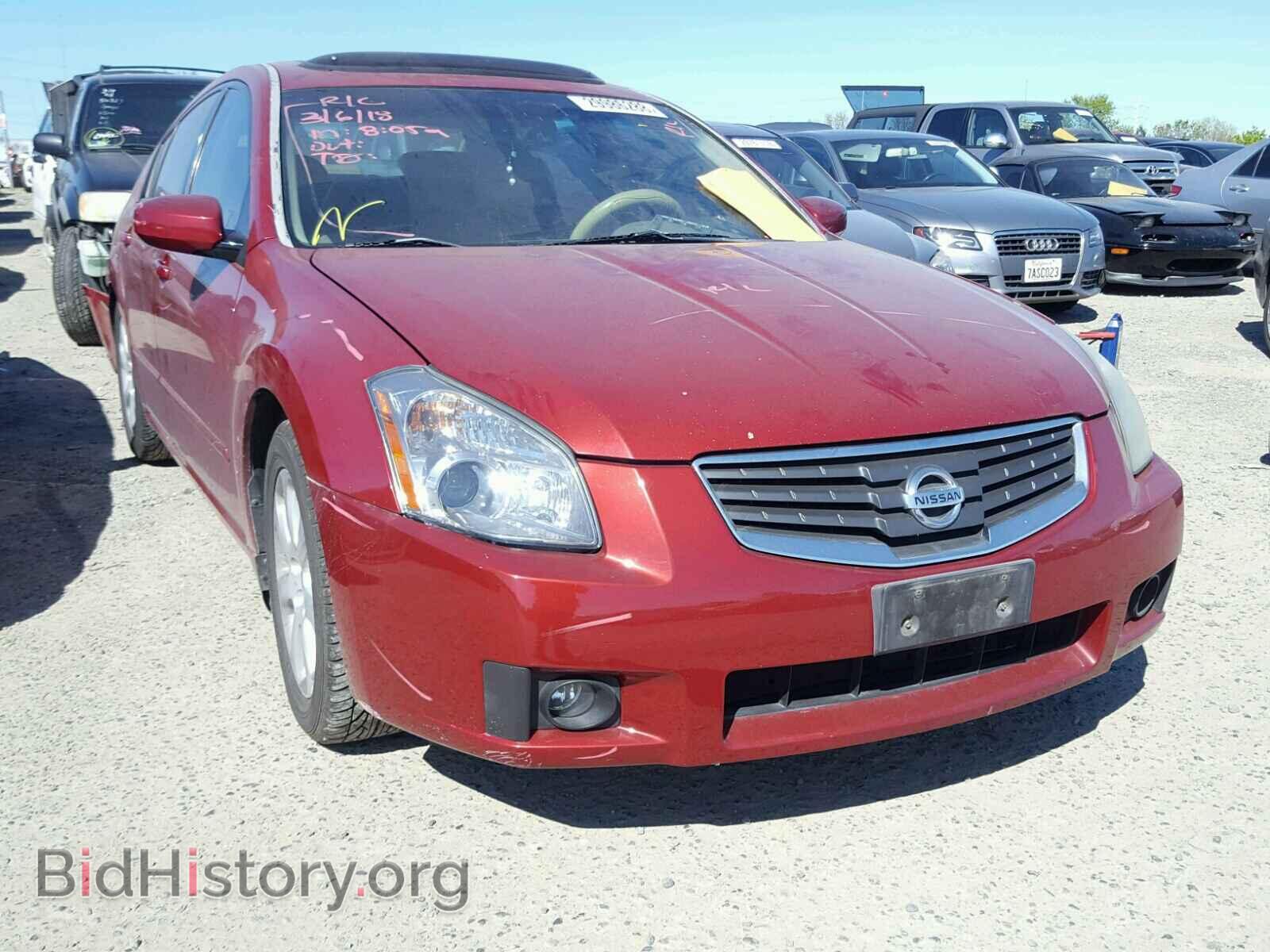 Photo 1N4BA41E28C827098 - NISSAN MAXIMA 2008