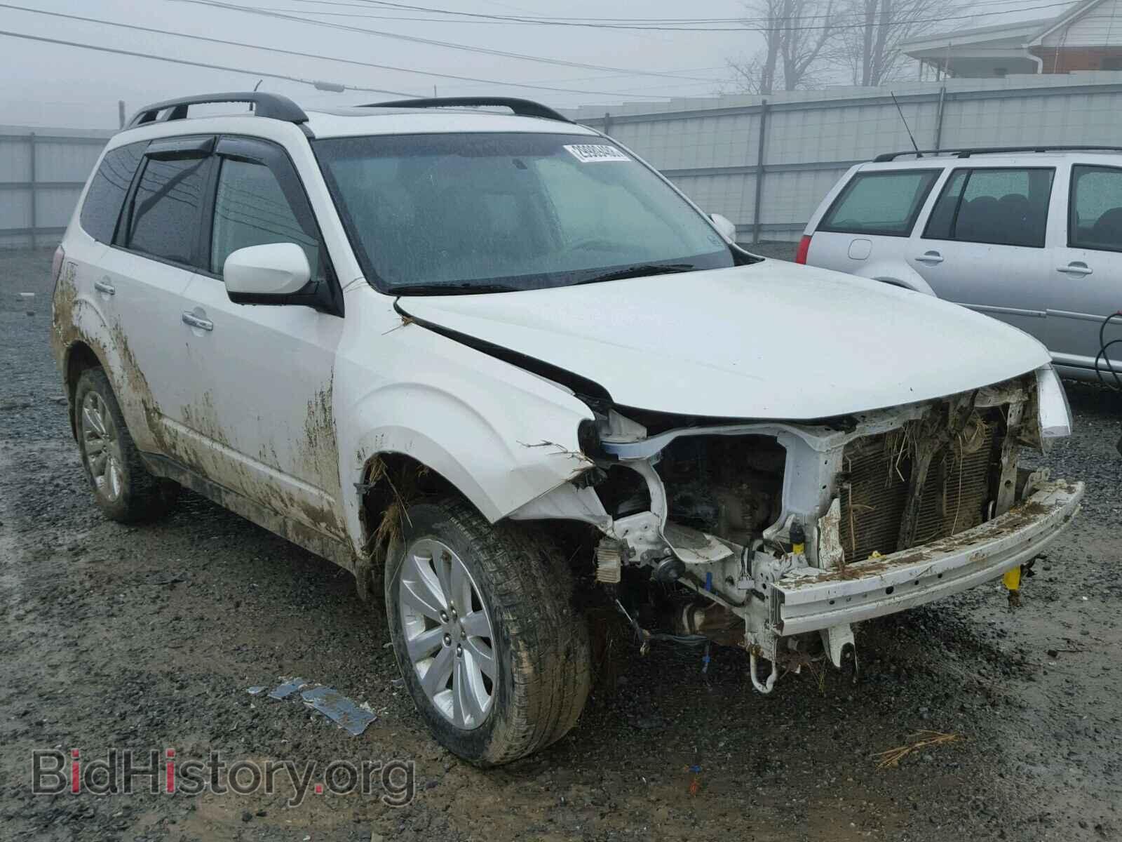 Фотография JF2SHAEC3BH718013 - SUBARU FORESTER 2011
