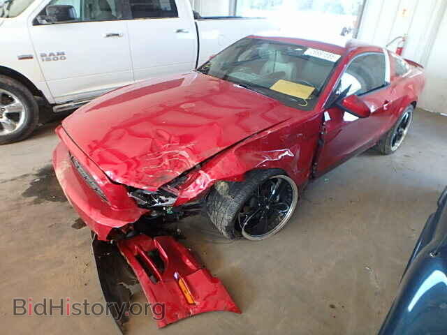 2013 FORD MUSTANG - VIN: 1ZVBP8AM8D5230248 - Фото 2