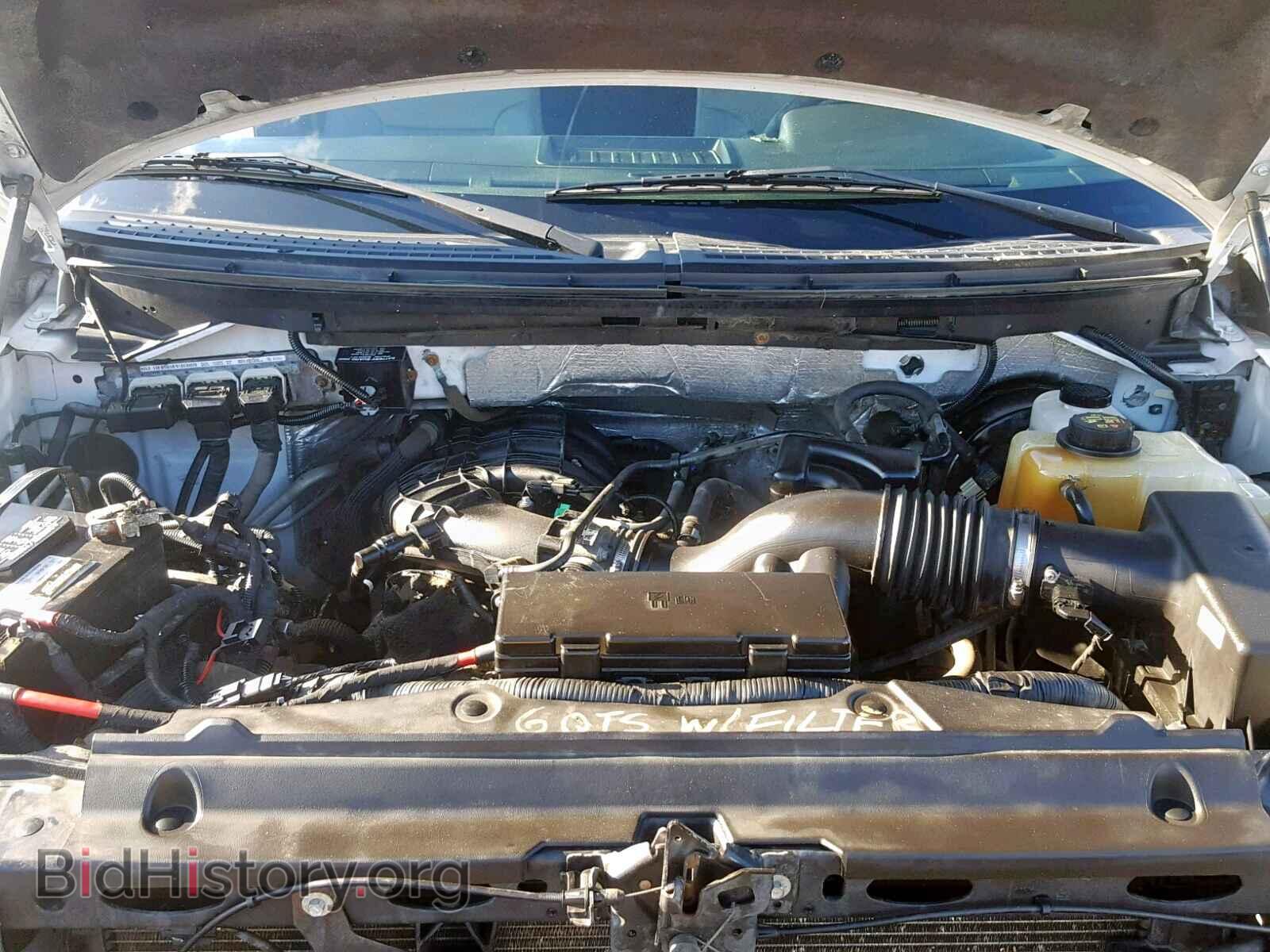 2013 FORD F150 - VIN: 1FTMF1CM9DKD84987 - Фото 7