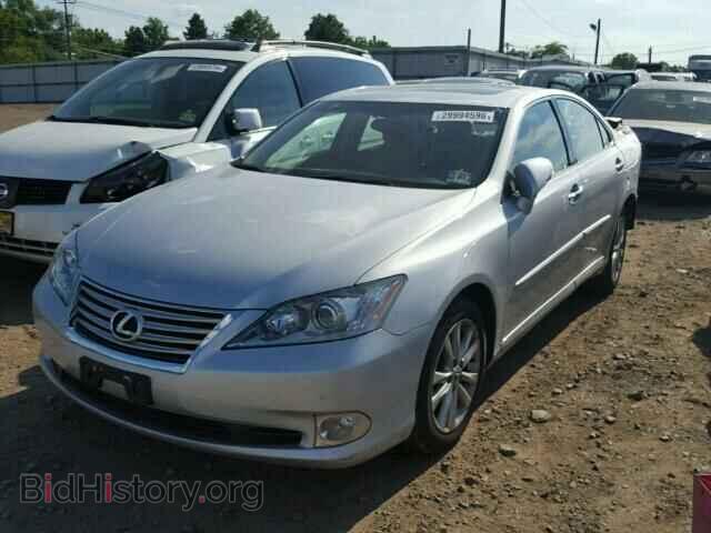 2010 LEXUS ES350 - VIN: JTHBK1EG9A2344137 - Фото 2
