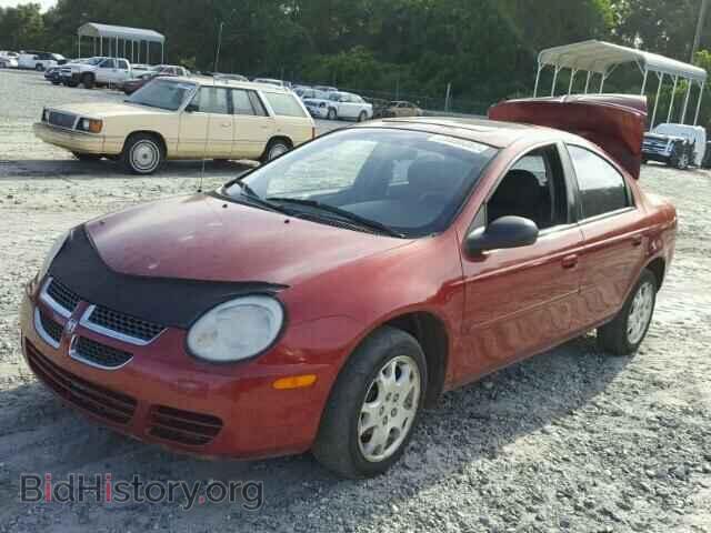 2005 DODGE NEON - VIN: 1B3ES56C65D163686 - Фото 2