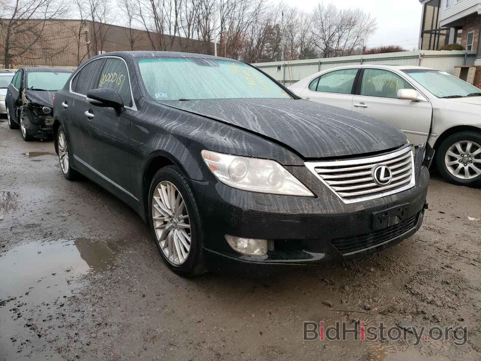 Фотография JTHBL5EF4A5101555 - LEXUS LS460 2010