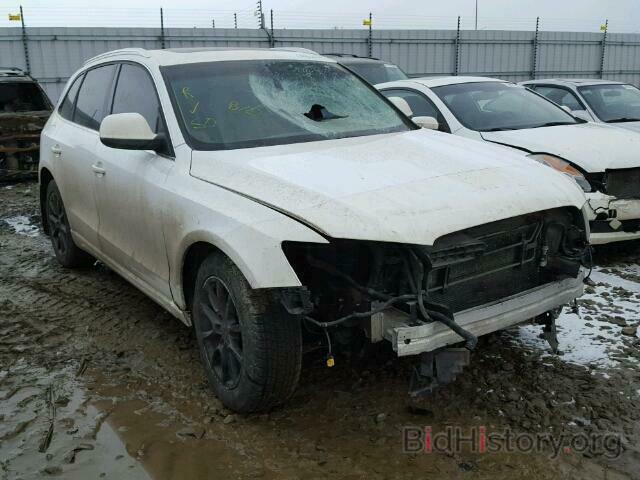 Фотография WA1LKCFP0AA029453 - AUDI Q5 2010