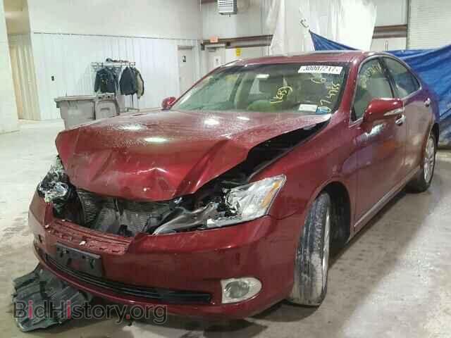 2010 LEXUS ES350 - VIN: JTHBK1EGXA2381486 - Фото 2