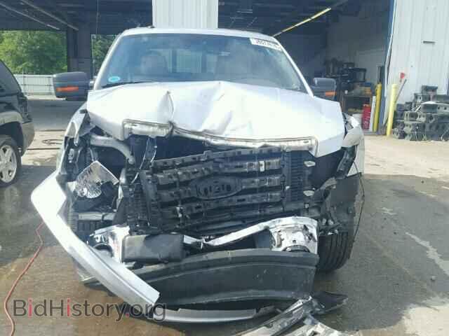 2010 FORD F150 - VIN: 1FTEW1C83AFA74443 - Фото 10