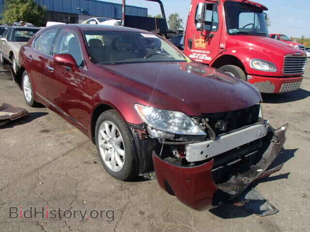 Фотография JTHBL46F785065976 - LEXUS LS460 2008