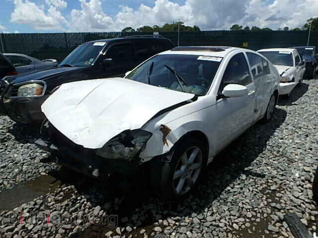 2005 NISSAN MAXIMA - VIN: 1N4BA41E45C823484 - Фото 2