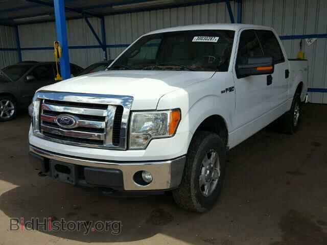 2011 FORD F150 - VIN: 1FTFW1EF5BFC35585 - Фото 2