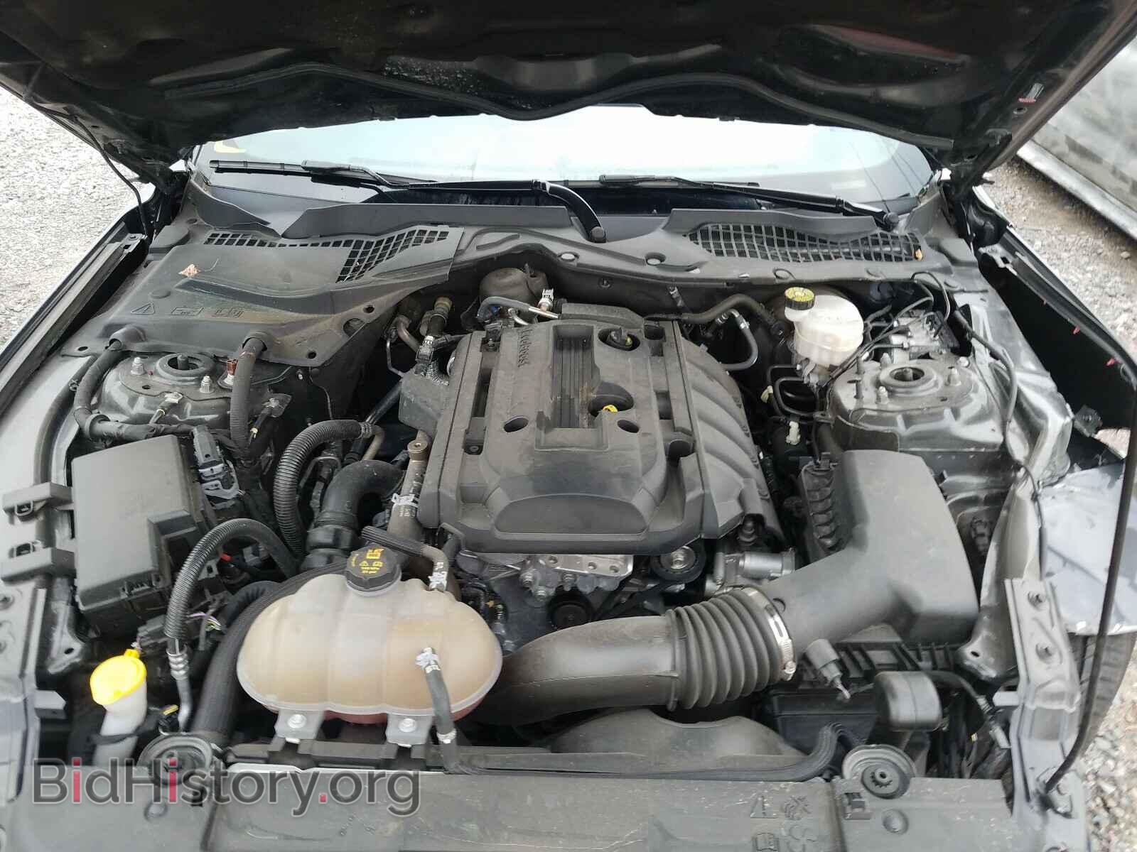 2019 FORD MUSTANG - VIN: 1FA6P8TH0K5201768 - Фото 7