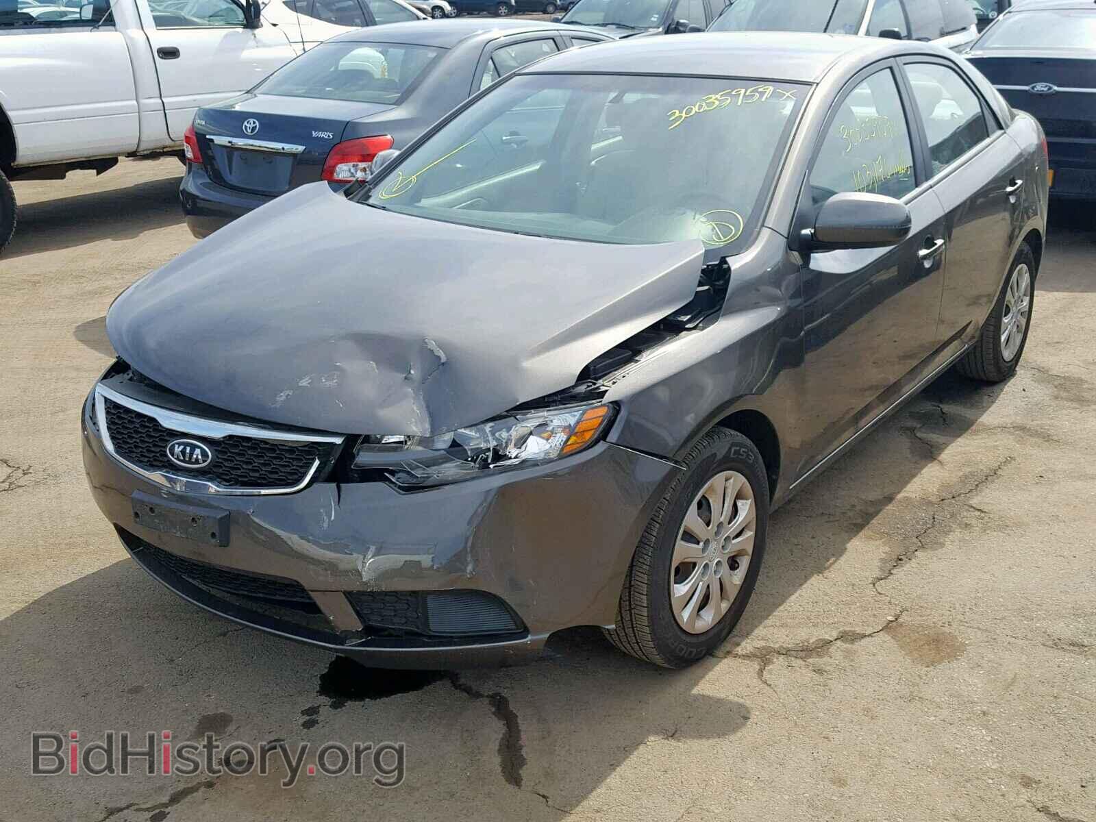 2012 KIA FORTE - VIN: KNAFU4A21C5504454 - Фото 2