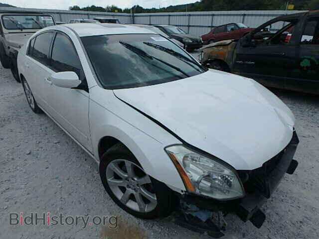 Photo 1N4BA41EX8C825812 - NISSAN MAXIMA 2008
