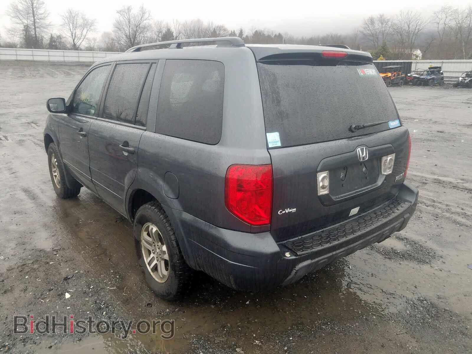 2005 HONDA PILOT - VIN: 5FNYF18495B059376 - Фото 3