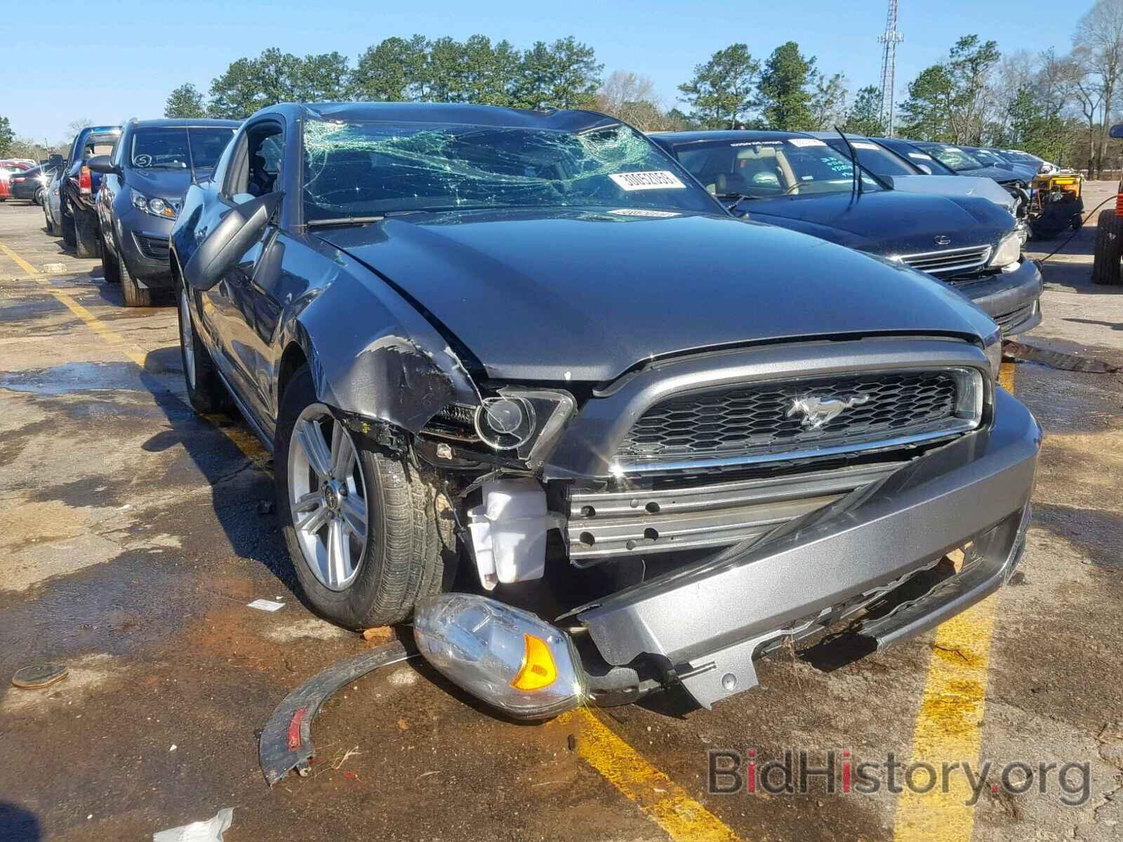 Photo 1ZVBP8AM0D5258271 - FORD MUSTANG 2013