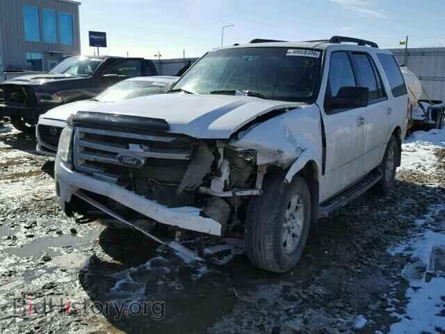 2009 FORD EXPEDITION - VIN: 1FMFU16599EA64850 - Фото 2