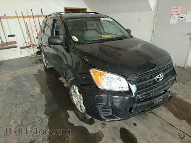 Фотография 2T3BF4DV6BW097403 - TOYOTA RAV4 2011