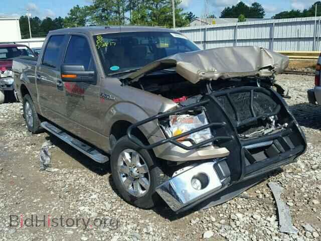 Фотография 1FTFW1CF9DFD52916 - FORD F150 2013