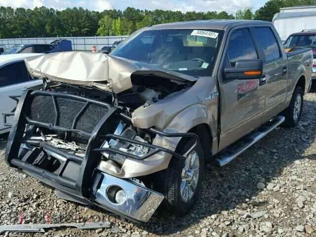 2013 FORD F150 - VIN: 1FTFW1CF9DFD52916 - Фото 2