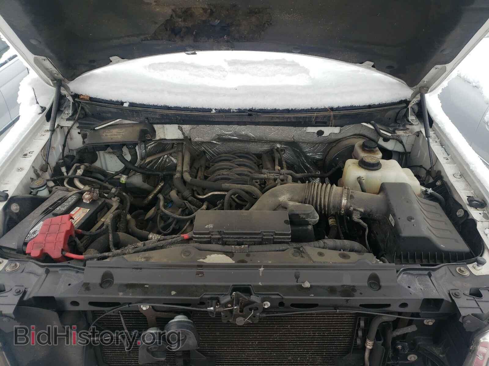 2012 FORD F150 - VIN: 1FTNF1CF5CKD54065 - Фото 7