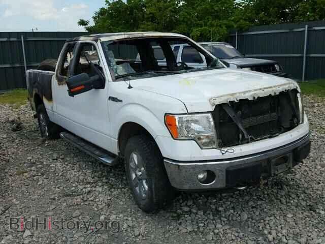 Фотография 1FTFX1EF3DKF51171 - FORD F150 2013