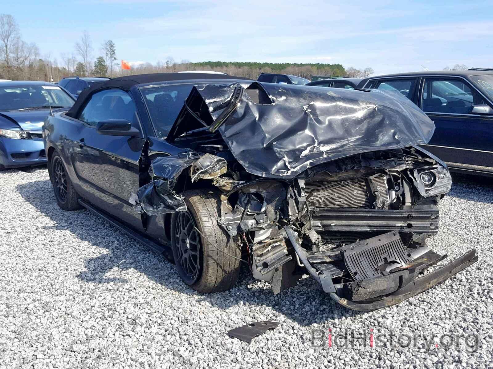 Photo 1ZVBP8FF8E5234344 - FORD MUSTANG GT 2014