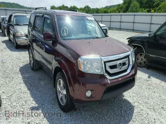 Photo 5FNYF3H54AB018992 - HONDA PILOT 2010