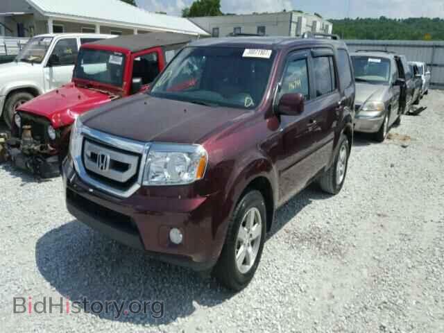 2010 HONDA PILOT - VIN: 5FNYF3H54AB018992 - Фото 2