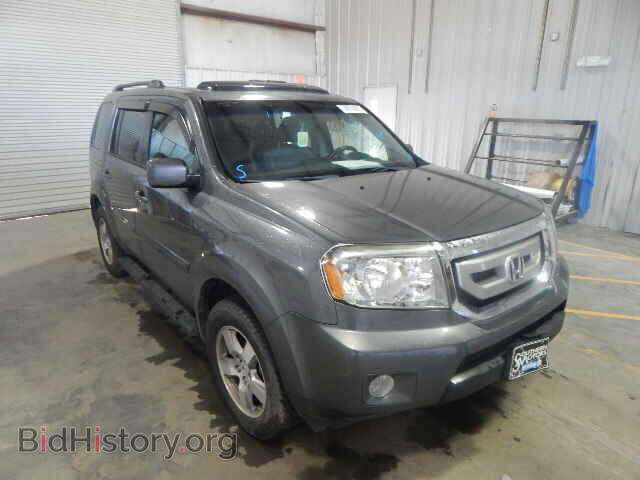 Photo 5FNYF3H51AB007237 - HONDA PILOT 2010