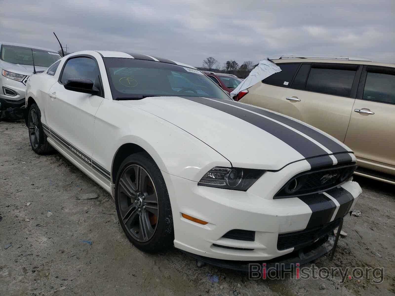 Photo 1ZVBP8AM2D5246204 - FORD MUSTANG 2013