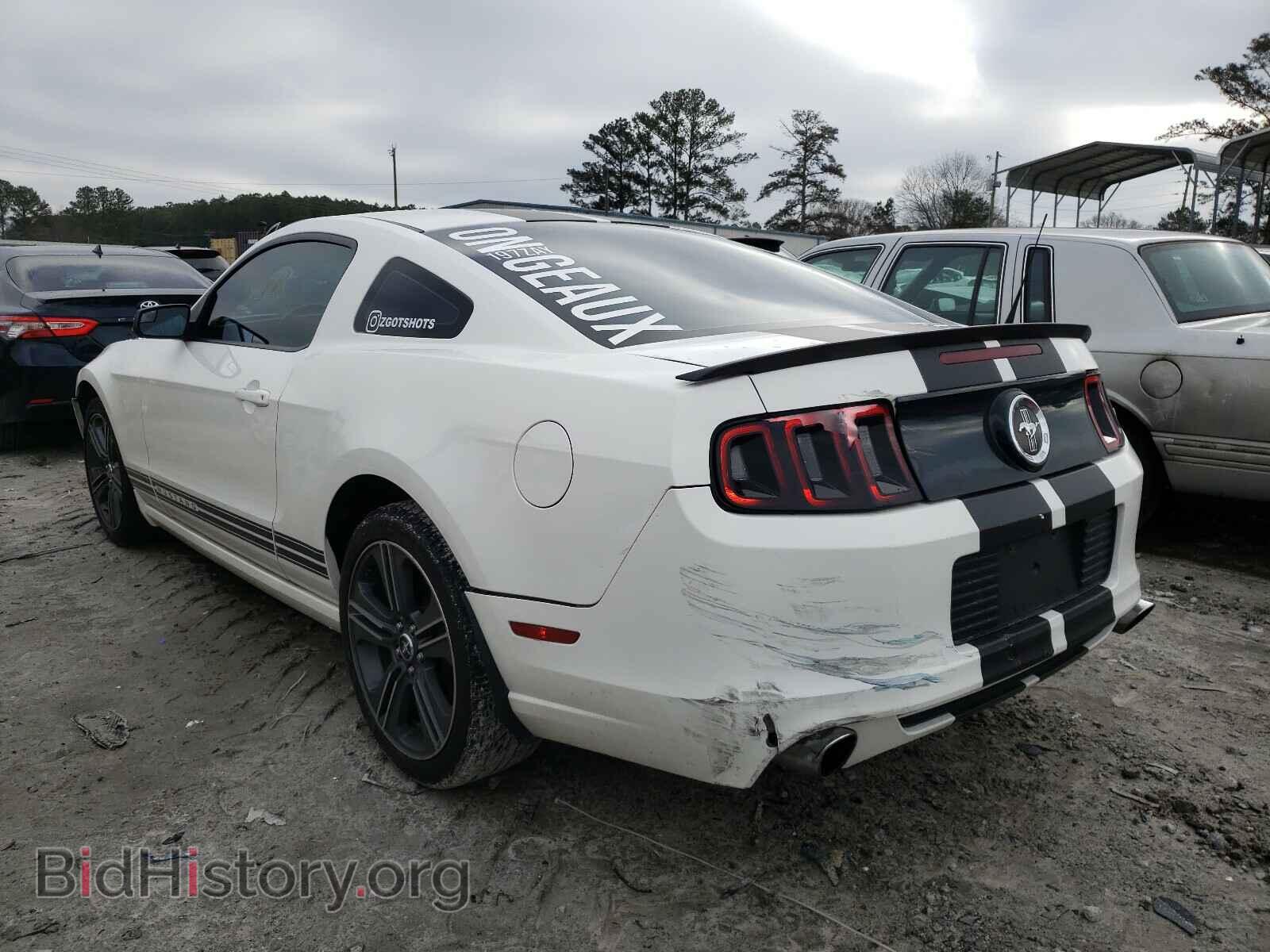 2013 FORD MUSTANG - VIN: 1ZVBP8AM2D5246204 - Фото 3
