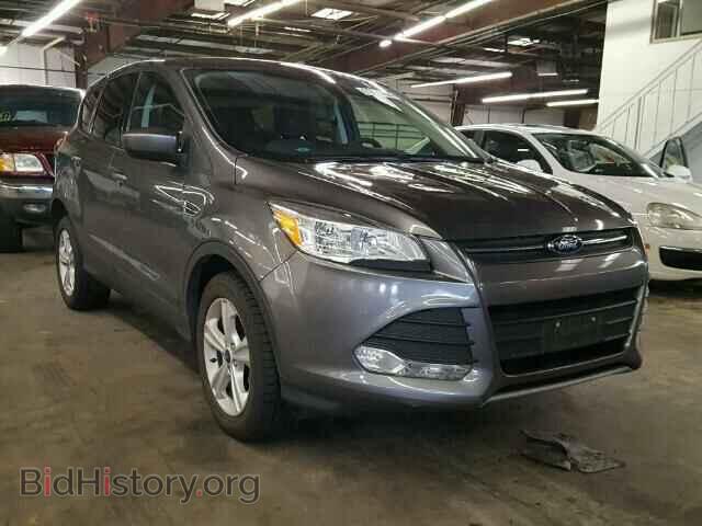 Фотография 1FMCU0GX0DUD17744 - FORD ESCAPE 2013