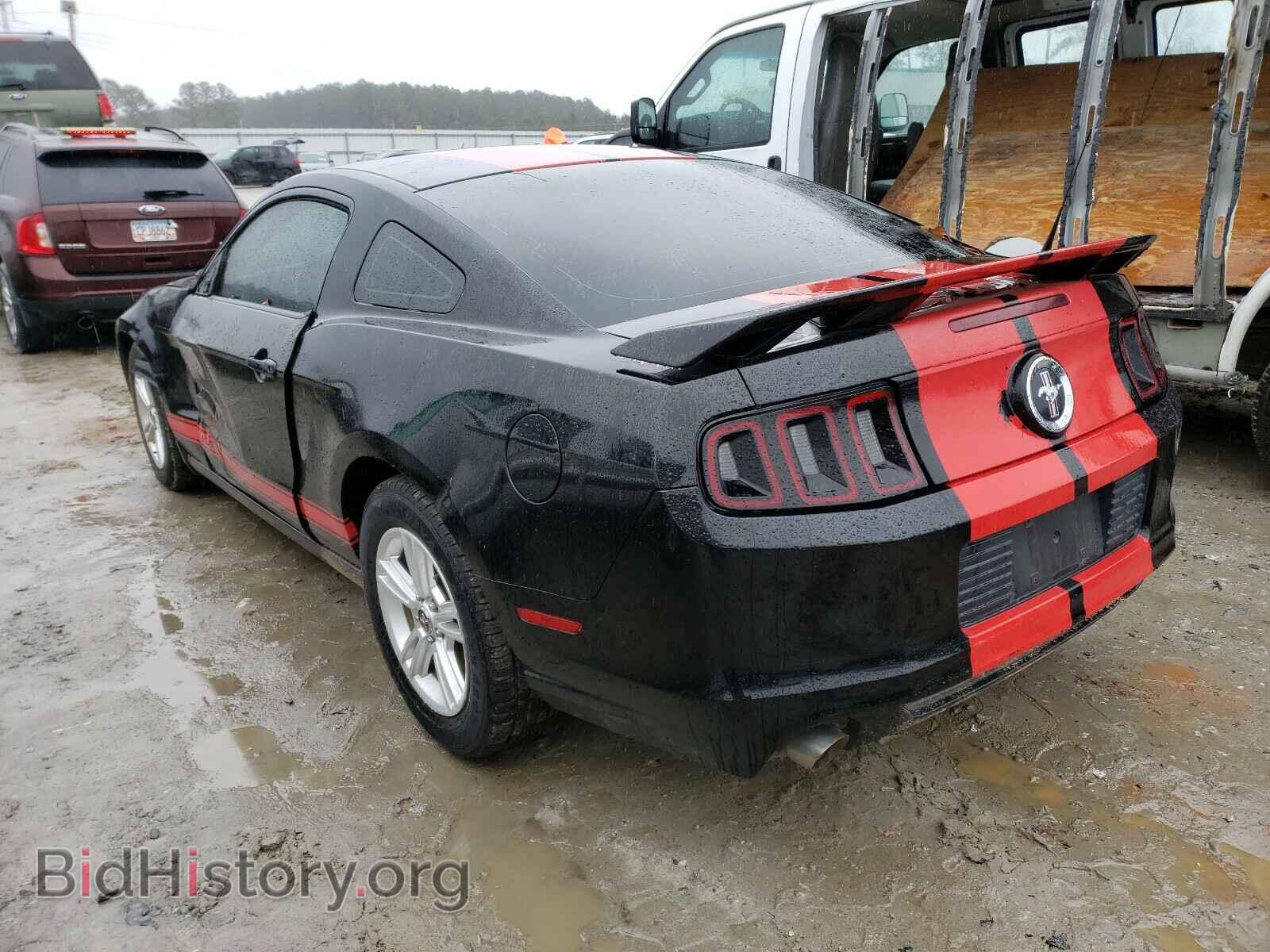 2014 FORD MUSTANG - VIN: 1ZVBP8AM3E5291945 - Фото 3