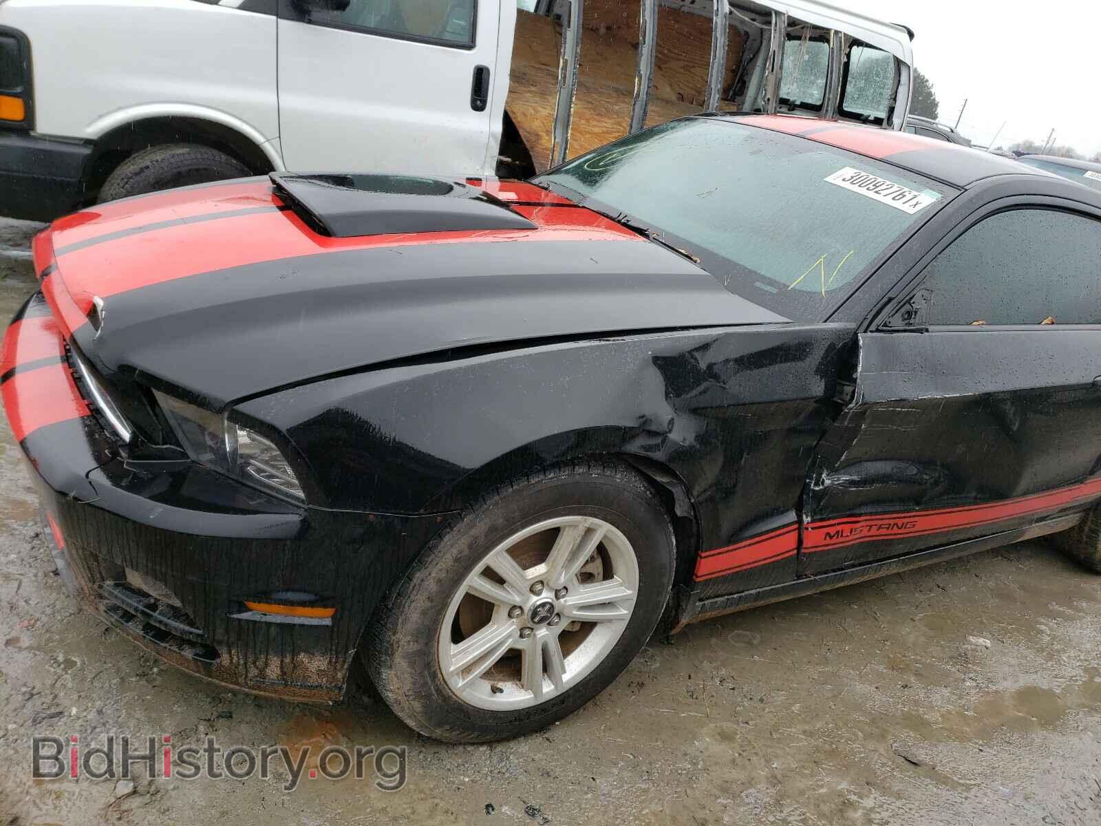 2014 FORD MUSTANG - VIN: 1ZVBP8AM3E5291945 - Фото 9