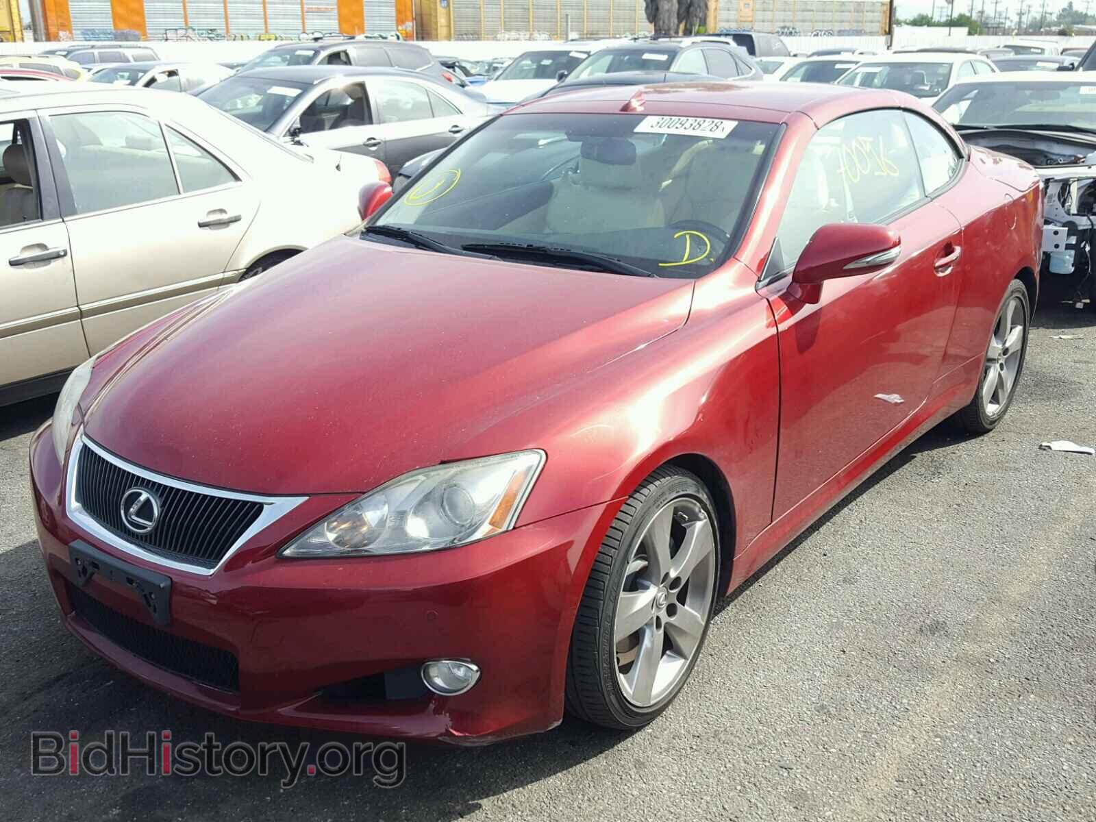 2010 LEXUS IS250 - VIN: JTHFF2C20A2512556 - Фото 2