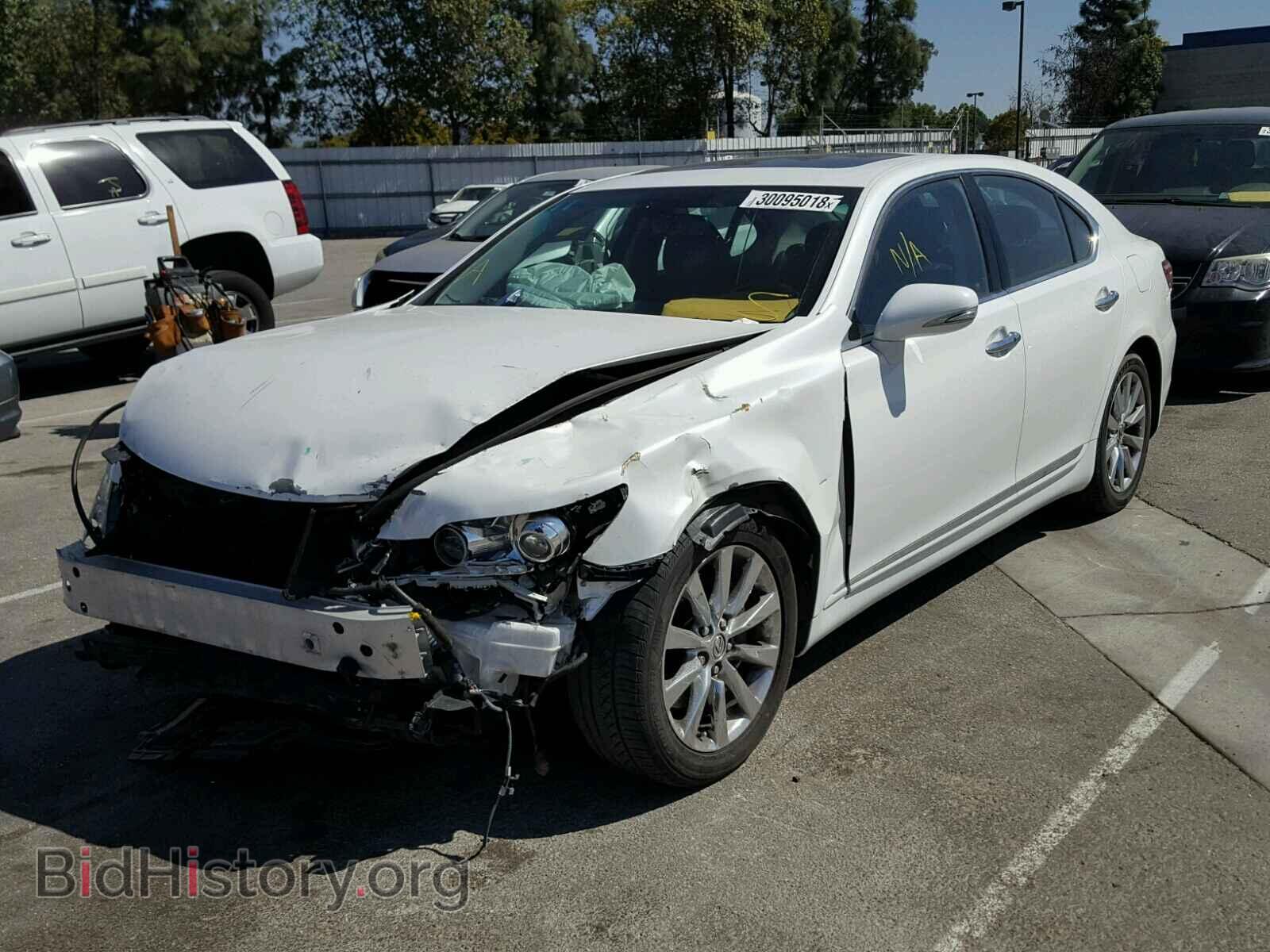 2010 LEXUS LS460 - VIN: JTHBL5EF9A5093646 - Фото 2
