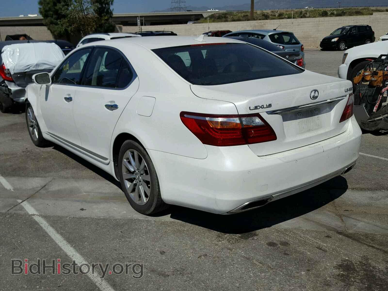 2010 LEXUS LS460 - VIN: JTHBL5EF9A5093646 - Фото 3