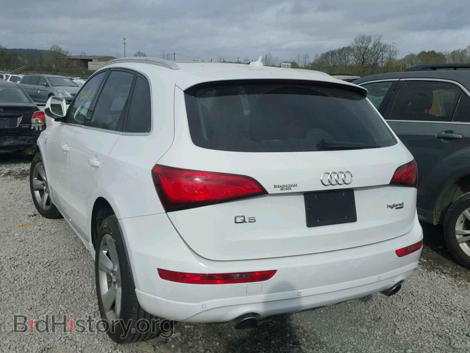 2013 AUDI Q5 - VIN: WA1C8AFP5DA024711 - Фото 3
