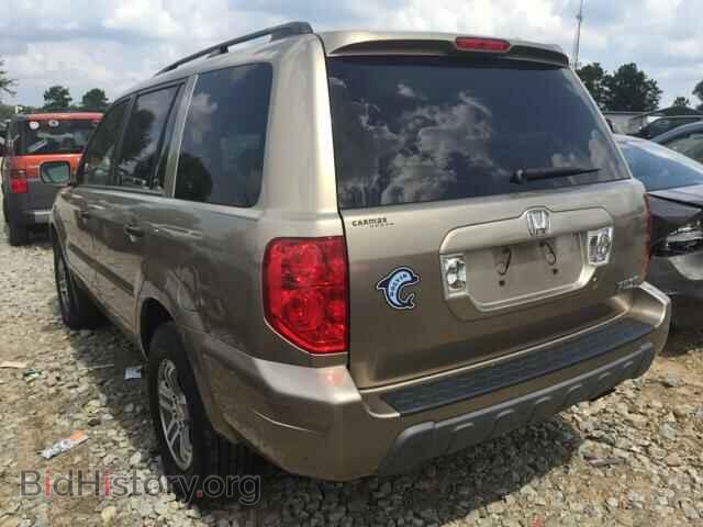 2005 HONDA PILOT - VIN: 5FNYF18405B009580 - Фото 3