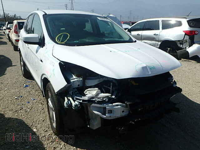 Фотография 1FMCU0GX4DUD25264 - FORD ESCAPE 2013