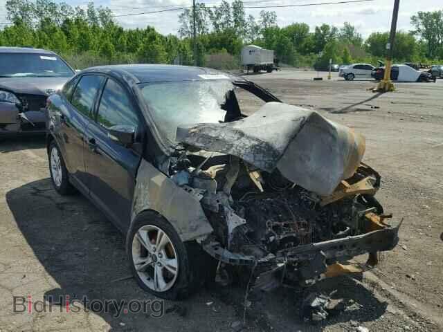 Photo 1FADP3F24DL309682 - FORD FOCUS 2013