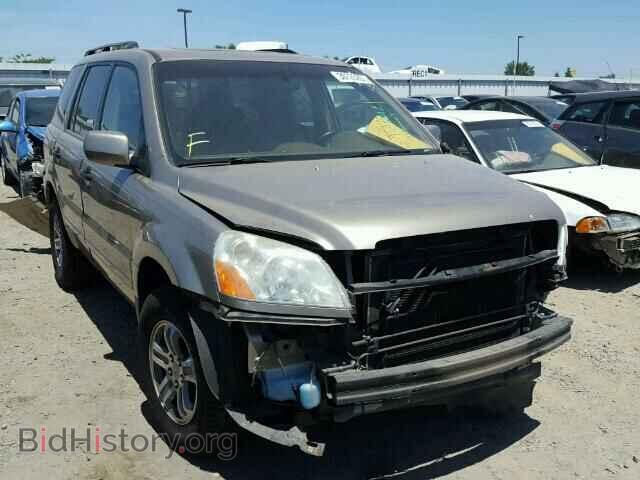 Photo 5FNYF18555B034287 - HONDA PILOT 2005