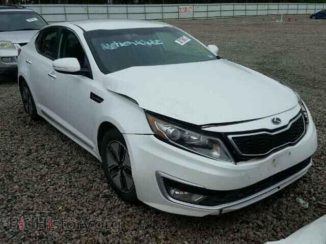 Фотография KNAGM4ADXC5021695 - KIA OPTIMA 2012