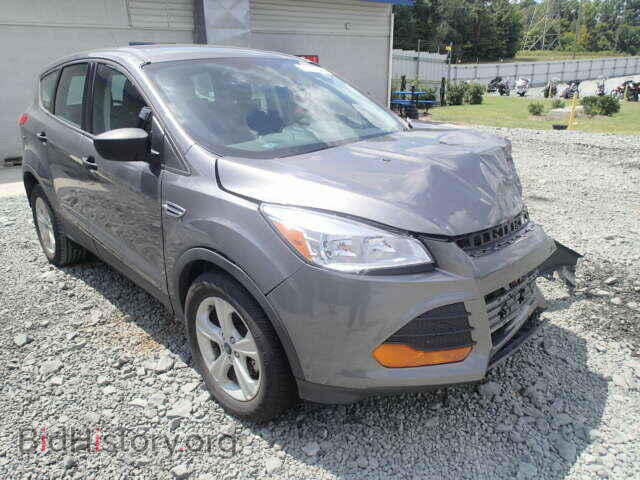 2014 Ford ESCAPE Escape S (VIN 1FMCU0F73EUC64802) — photo 1 of 10, Copart, damage: front end