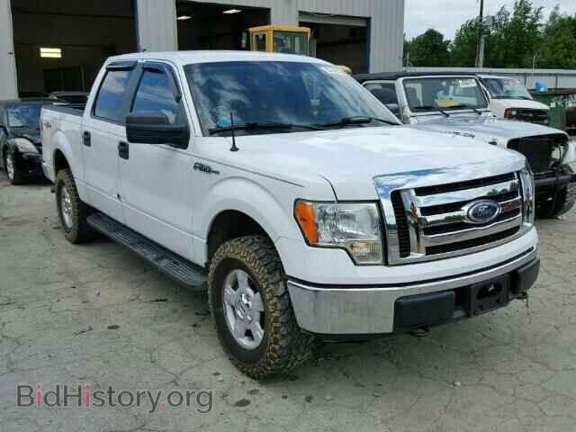 Фотография 1FTEW1E85AFA15343 - FORD F150 2010
