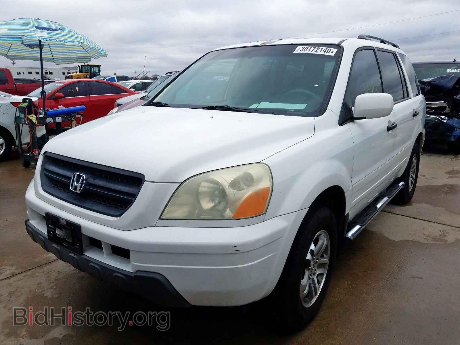 2005 HONDA PILOT - VIN: 5FNYF18695B067494 - Фото 2