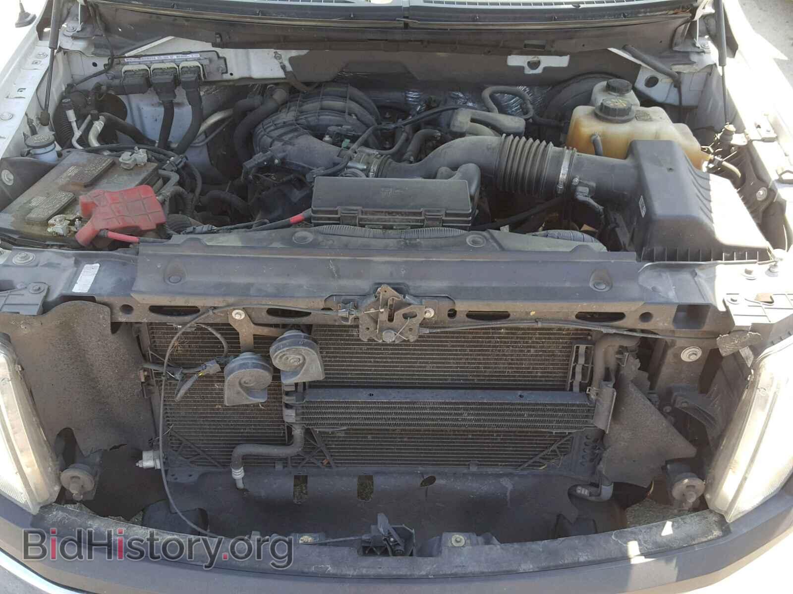 2013 FORD F150 - VIN: 1FTMF1CM2DKE08885 - Фото 7